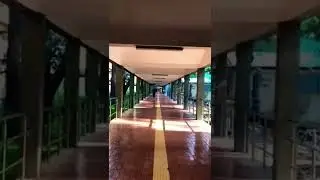 IIT Bombay Infinity Corridor | IIT BOMBAY Campus #iit #iitbombay #iitjee #motivation #iit_motivation