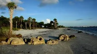Bunche Beach at San Carlos Bay
