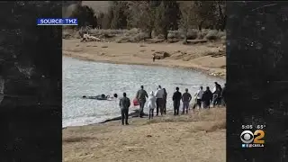 Caught On Camera: Family Rescued After Falling Through Ice On Lake In Big Bear