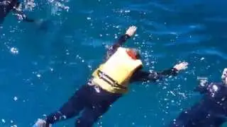 Judy and the Great Barrier Reef