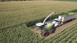 CORN Silage Harvest 2019