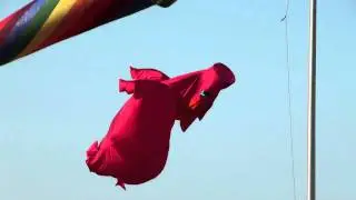 The New PIG Windsock rises above the Gift of Wings Kite Store in Veterans Park
