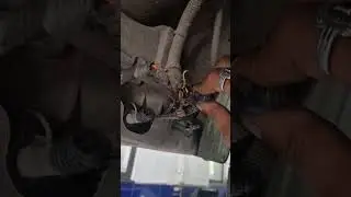 #creta#urea#pipe#damage#fail#hundai#Big#failure#company#No#solution#hundaicreta#bad