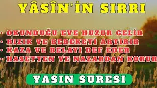 YASİN SURESİNİN FAZİLETLERİ | EVLERE HUZUR, RIZKA BEREKET, BELAYA KORUMA |YASIN SURESI
