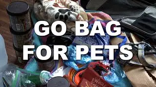 How to pack a pet 