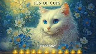 Pick a Cat ✨ Your Intuitive Message Today Peace  Love  Healing#tarot#tarot reading#pick a card#love