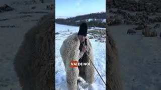 Viața La St&acirc;nă