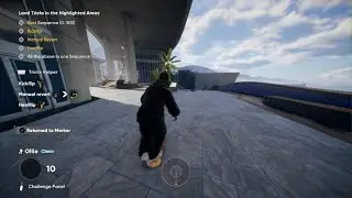 Skate. Manual Reversion OTS