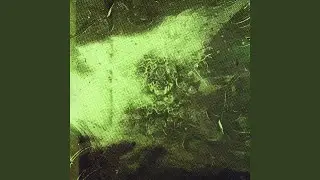 Toxic