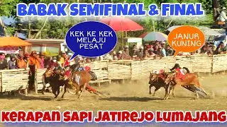 BABAK FINAL & SEMIFINAL PERANG BINTANG JAWA LAPANGAN JATIREJO KUNIR LUMAJANG || PENONTON MEMBLUDAK 🔥