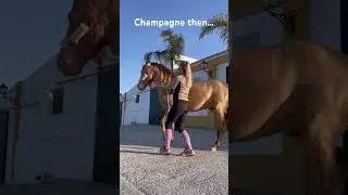 Champagne
