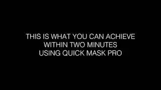 Quick Mask Pro | The Louvre