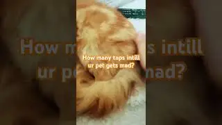 Literally infinite ♾️ 🤣