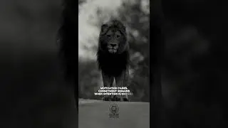 Life is short #discipline #motivation #dailyinspiration #lionnation
