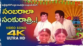 Sambarala Sankurtri Song 4K | ANR, Krishna,Sridevi, jayasudha | Ooranta Sankranthi |Old Telugu Songs
