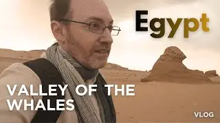 Return to Egypt's Valley of the Whales | Fayoum Oasis | travel vlog