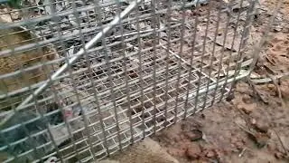 A Mitchell's Hopping Mouse near Mount Holland, WA is released.