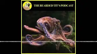 Octopus Numbers Exploding in England ft Simon Thomas #175