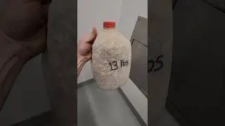 13 Pounds Of Pebbles - January 30, 2026 - Down The Garbage Chute #297