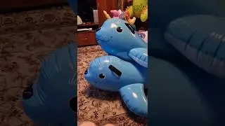 милые надувные тюлени 2011 и 2013 годов