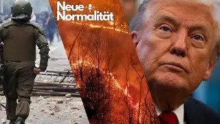 NEUE Normalit&auml;t: Der Talk LIVE