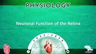Tut 1: Neuronal function of the retina; Physiology      