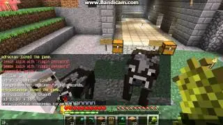 MineHard server #3 отчет