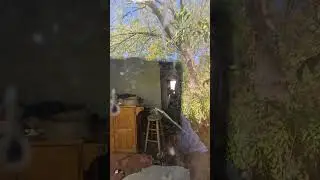 Brownstown, MI