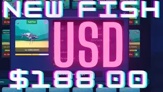 new fish weekly earnings $188.00usd coin to fish nft play to earn coin coral coin gecko  CTFT