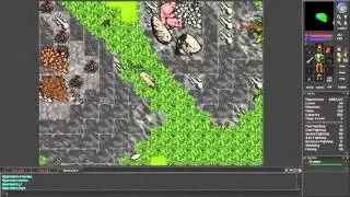 Tibia [7.3] Venore dragons