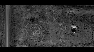 Riverine Rabbit Thinking Path