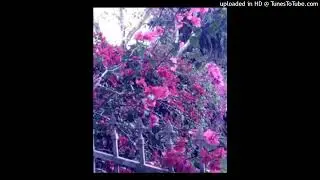 free for nonprofit! chris travis cloud rap black kray type beat 