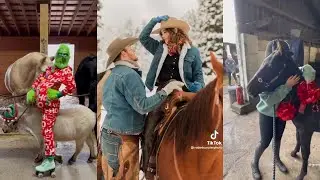 🎄 Horse Christmas Vibe TikToks🎅