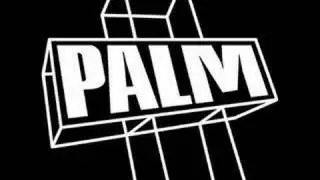 Palm Plus