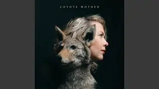When Horses Die