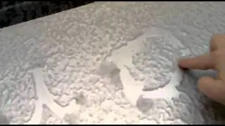 08122011006