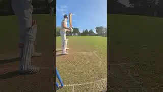 Lets Play Third Umpire | Out or Not Out | DRS Decision Pending #cricketshorts #outornotout #msdhoni
