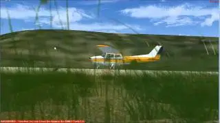 FXME FSX mix grass animation