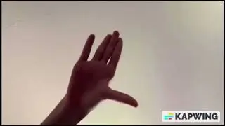 The KidVision TV Polly Hand Puppets I made (2026)