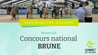Sommet de l'élevage 2023 - Concours NATIONAL BRUNE (APM) - 05/10/2023