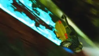 Acceleracers 4K Test - DNxHD