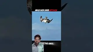 falcon attack