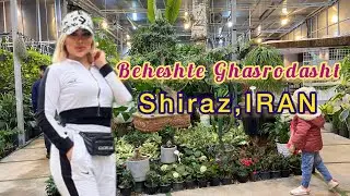 The Beautiful greenhouse IRAN / #viral   #greenhouse #flowers