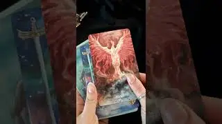 Jayne Wallace The Mythical Creatures Tarot: A boxed set