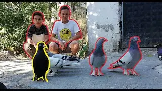 Çocuklar Müstakil Evde Güvercin Besliyor. Mustafa ve Özgür Ortakların Kuşları Süper.