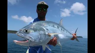 P&ecirc;che tropicale en Australie chez capitaine Triggy