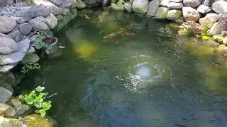 Matala Pond Aerator -Oxygen Diffuser for the Pond