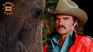 The Baby Elephant is Born | Smokey and the Bandit II