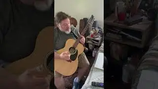 #BluesGuitar #GuitarLick #QuickLick #BluesRiffs #GuitarSolo #BluesVibes #GuitarLessons