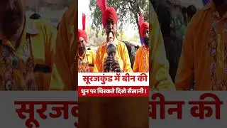 Tourists were seen dancing to the tune of the flute at Surajkund! | #shortsvideo #surajkundmela2026